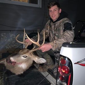 Meet your Posher, Everitt